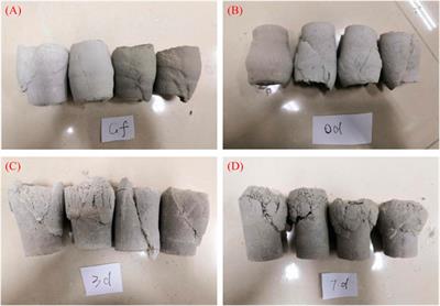 Experimental study of triaxial shear features of concentrated full tailings considering the effect of curing age